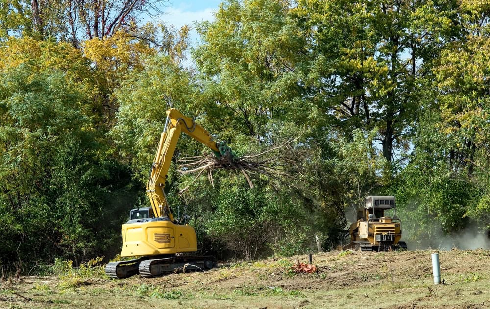 A yellow excavator is clearing an area of overgrown vegetation, lifting a bunch of branches. Another piece of construction equipment, possibly involved in septic tank services Suffolk County, is visible in the background, surrounded by green trees with a hint of autumn colors. Soil and tree remnants are scattered on the ground.