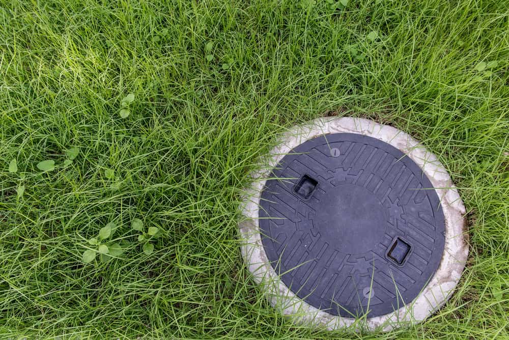 A circular manhole cover is embedded in the ground surrounded by lush, green grass. The cover is dark-colored with two metal handles and a radial pattern. The grass around it is tall and in patches, creating a natural, somewhat unkempt appearance—the kind of site often serviced during Septic Tank Cleaning Suffolk County.